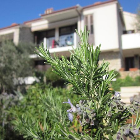 Apartments Palma & Pino Cres Exteriér fotografie